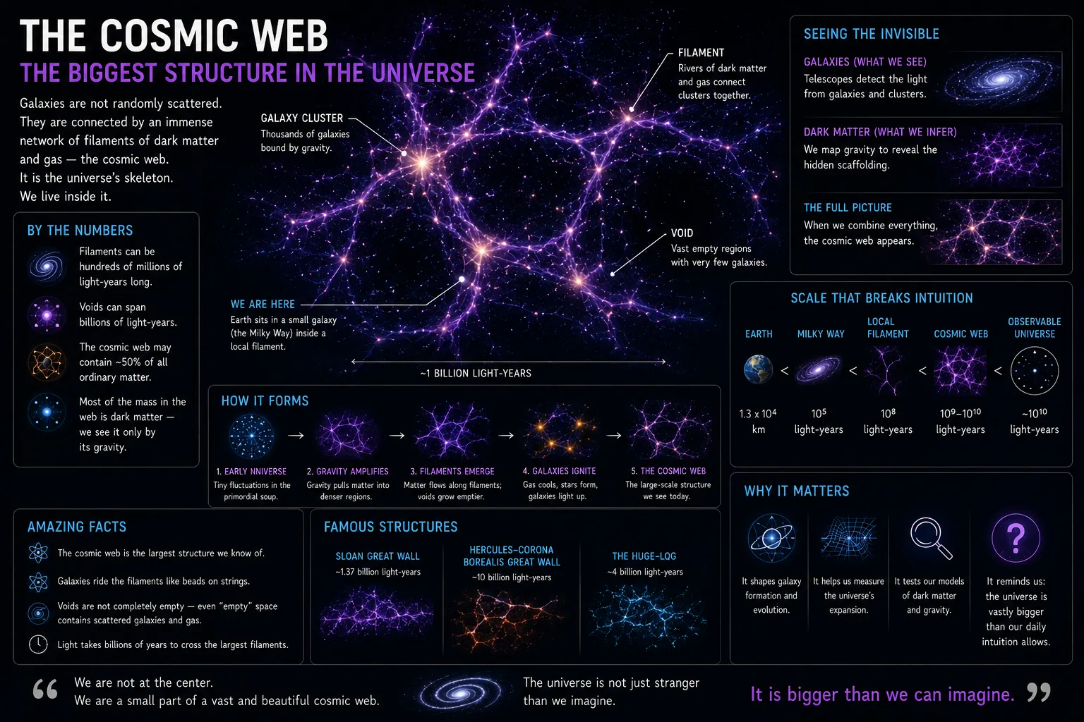 Infographic: The Biggest Object in the Universe Isn't What You Think
