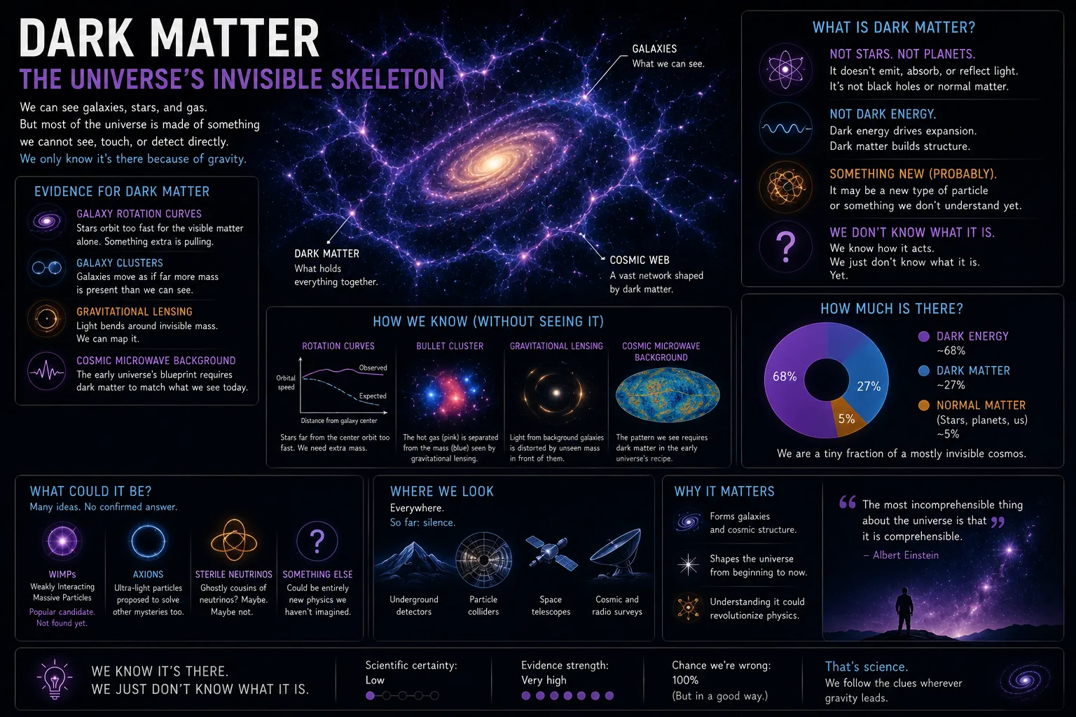 Infographic: The Matter We Have Never Seen